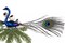 Peacock with Feathers Glass Christmas Clip Ornament Large Bird Ornament, Blue